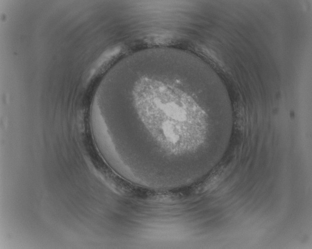 X0000075810738200610061731