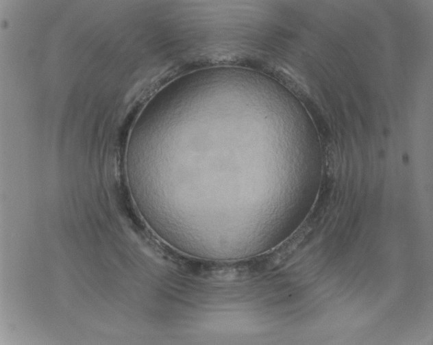 X0000075810740200610061731