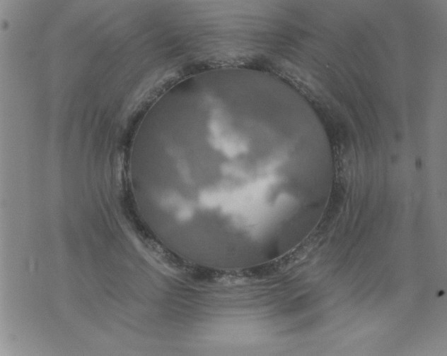 X0000075810742200610061731