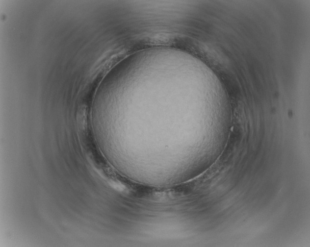 X0000075810744200610061731