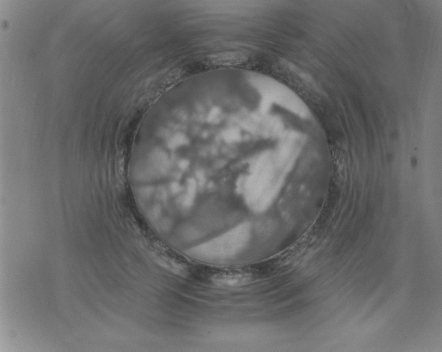 X0000075810745200610061731