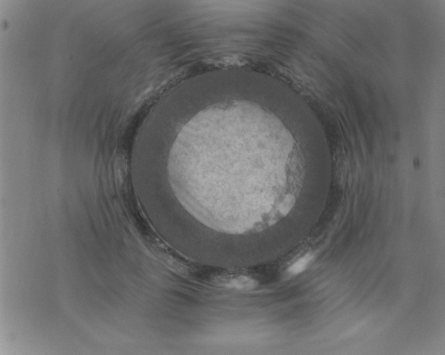 X0000075810747200610061731