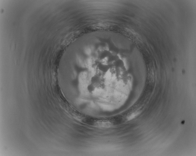 X0000075810749200610061731