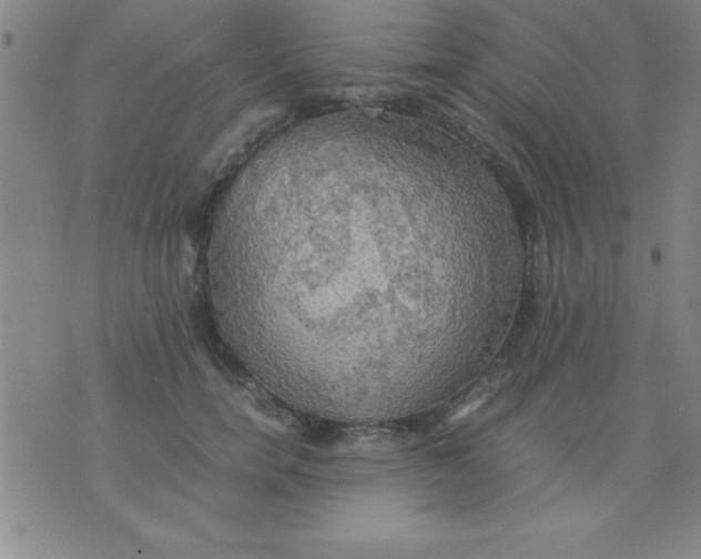 X0000075810750200610061731