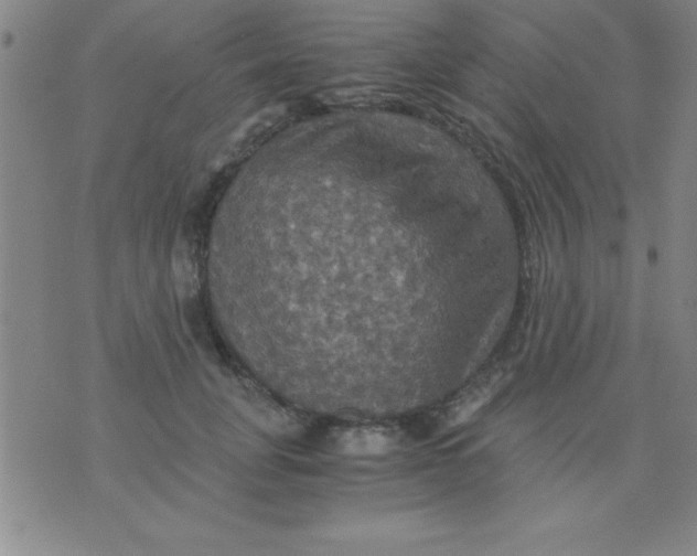 X0000075810751200610061731