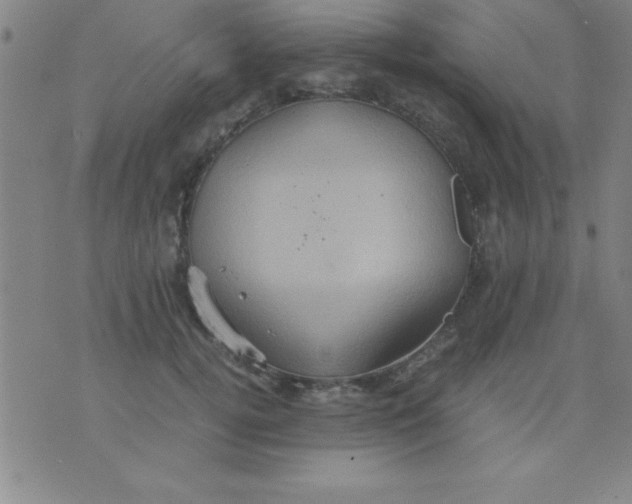 X0000075810752200610061731