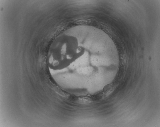 X0000075810753200610061731