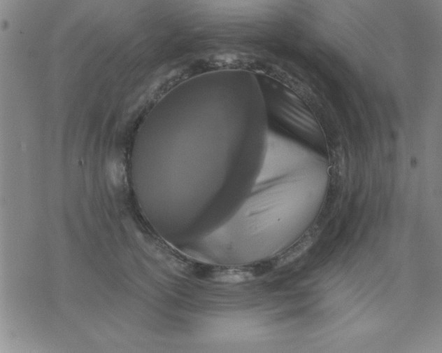 X0000075810754200610061731