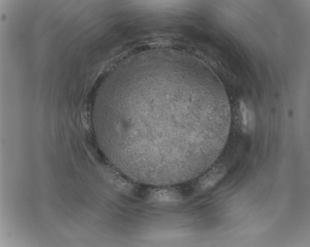 X0000075810755200610061731