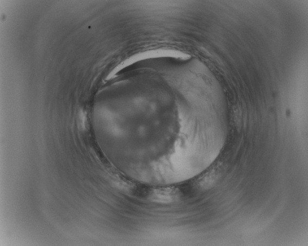 X0000075810757200610061731