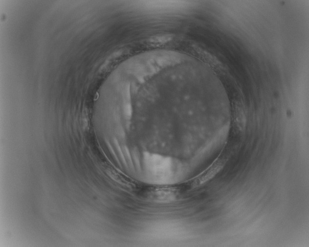 X0000075810758200610061731