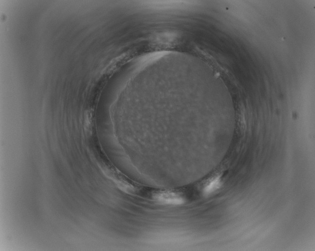 X0000075810759200610061731