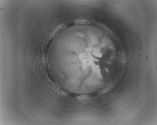 X0000075810761200610061731