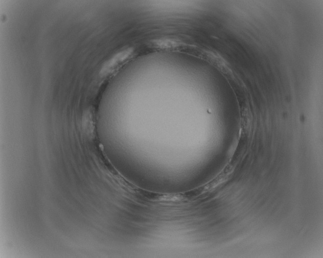 X0000075810762200610061731