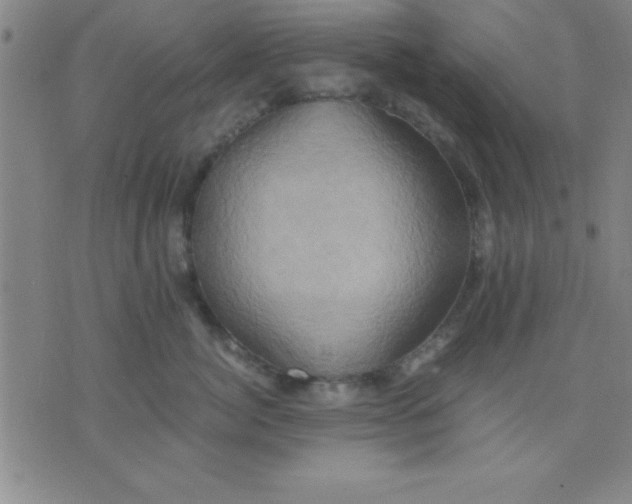 X0000075810764200610061732