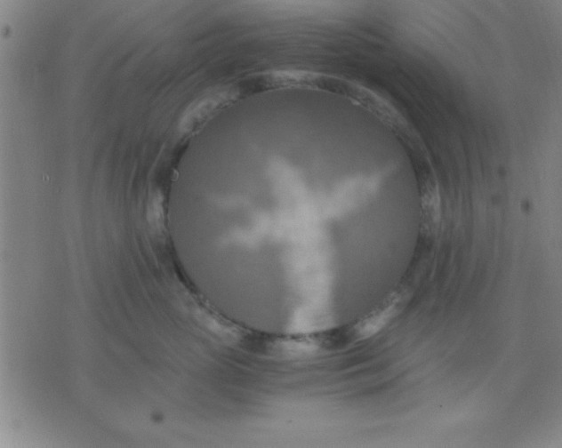 X0000075810765200610061732