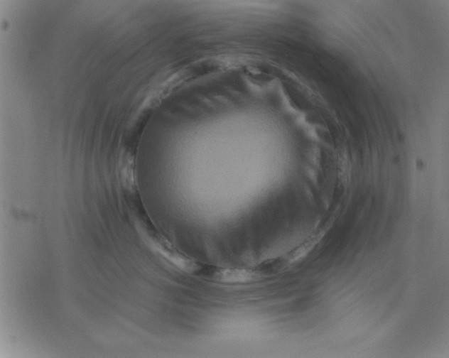 X0000075810766200610061732