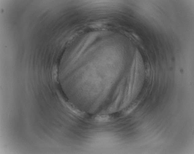 X0000075810767200610061732