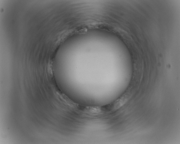 X0000075810768200610061732