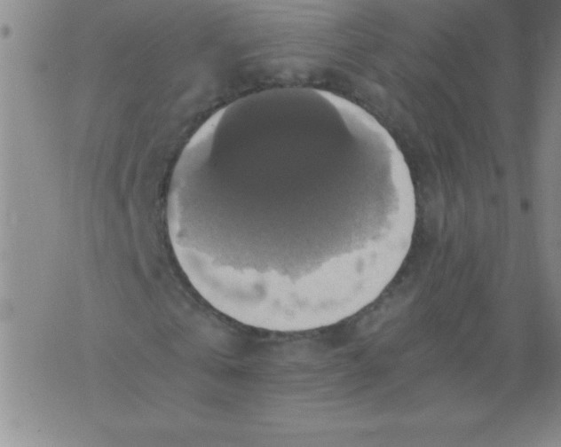 X0000075810769200610061731