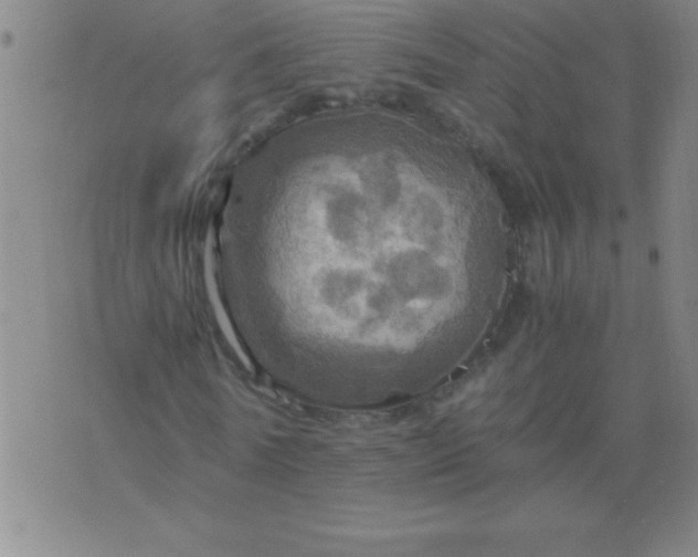 X0000075810770200610061731