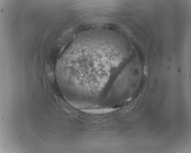 X0000075810771200610061731