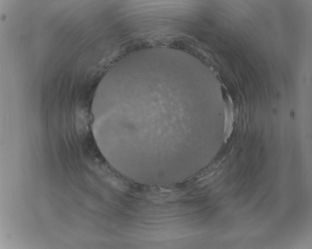 X0000075810772200610061731