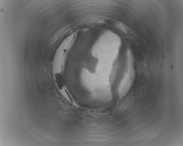 X0000075810774200610061731