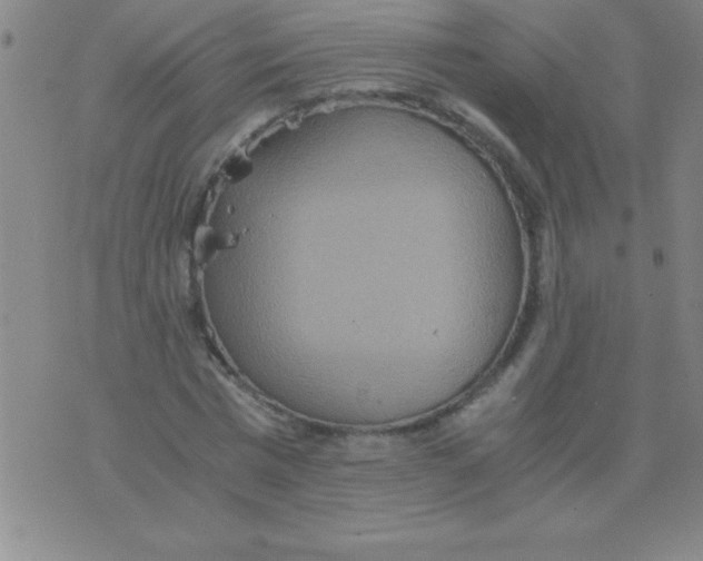 X0000075810777200610061731