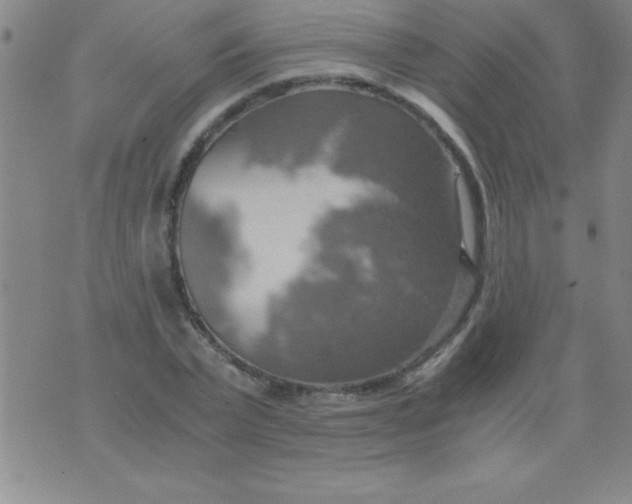 X0000075810783200610061731