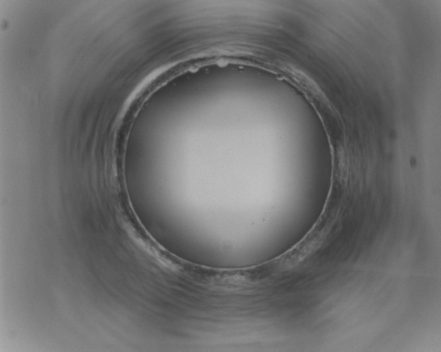 X0000075810784200610061731