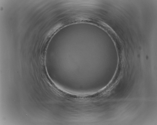 X0000075810785200610061731