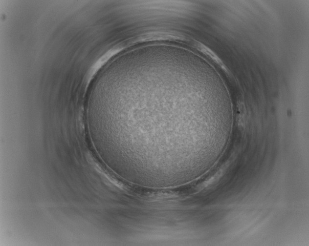 X0000075810786200610061731