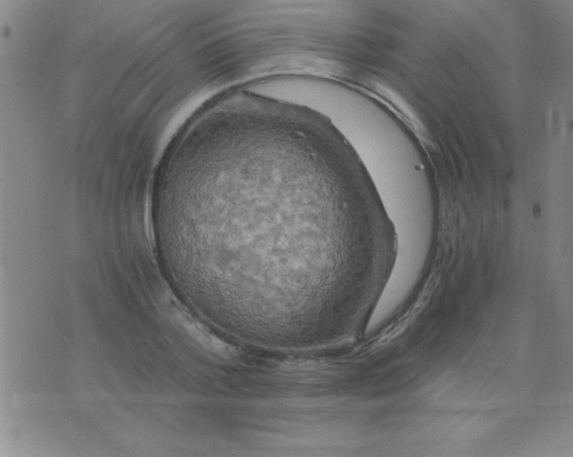 X0000075810788200610061731