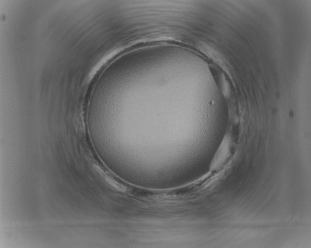 X0000075810789200610061730