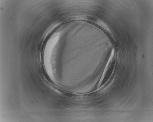 X0000075810790200610061730