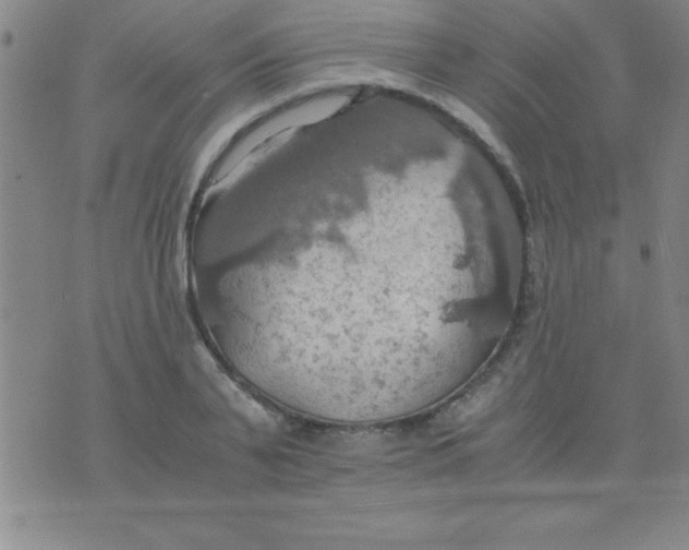 X0000075810791200610061730