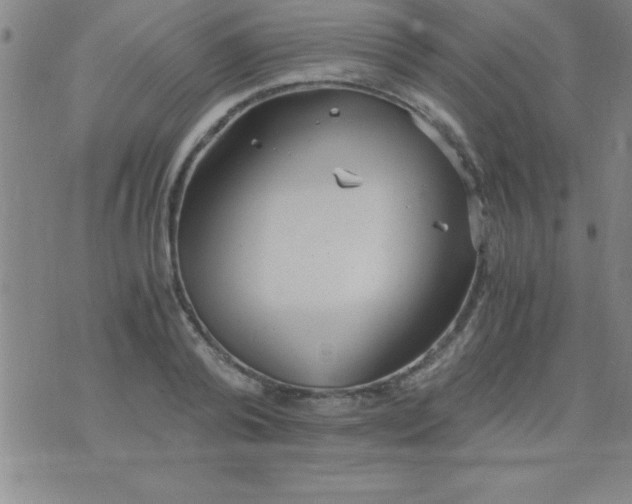 X0000075810792200610061730