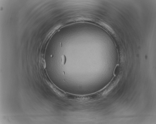 X0000075810793200610061730