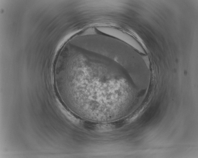 X0000075810795200610061730