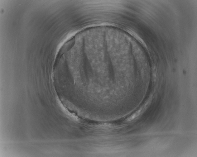 X0000075810797200610061730