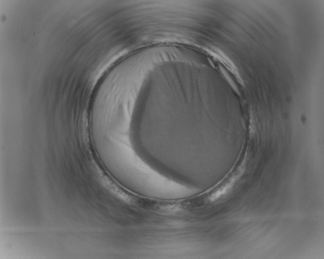 X0000075810798200610061730