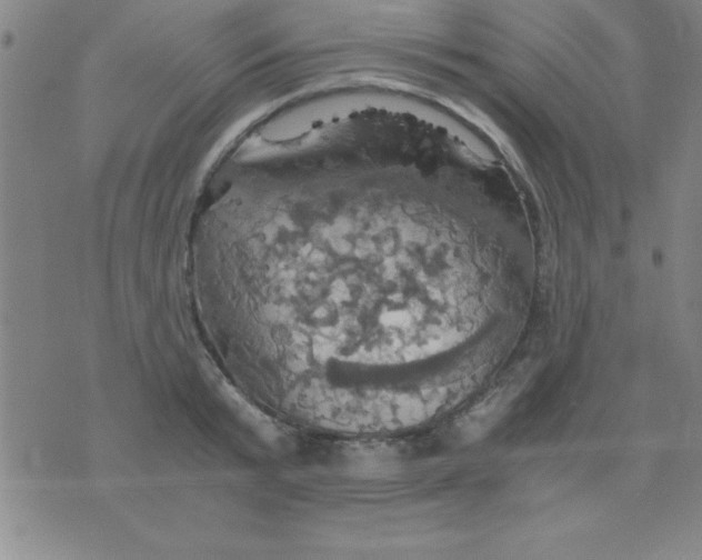 X0000075810799200610061730