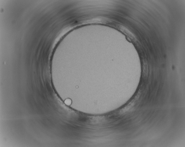 X0000075810800200610061730