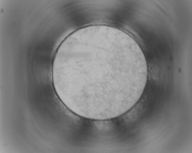 X0000075810804200610061730