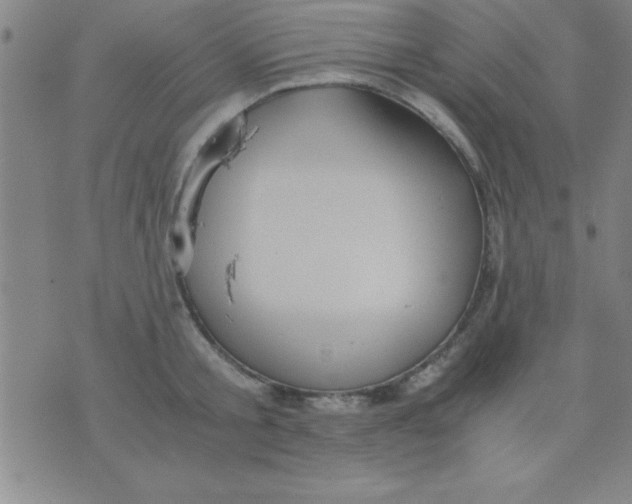 X0000075810805200610061730