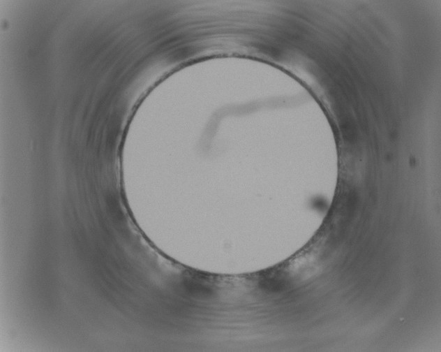 X0000075810807200610061730