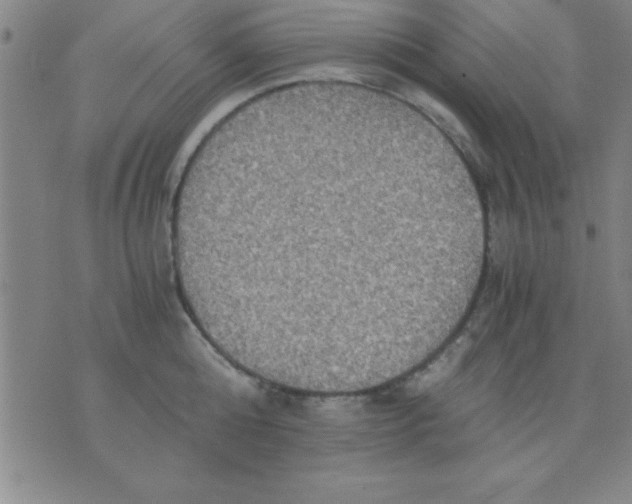 X0000075810808200610061730