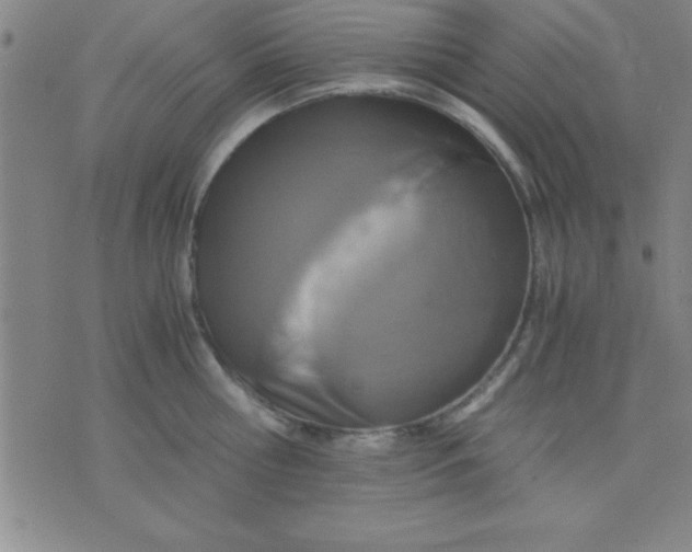 X0000075810810200610061730