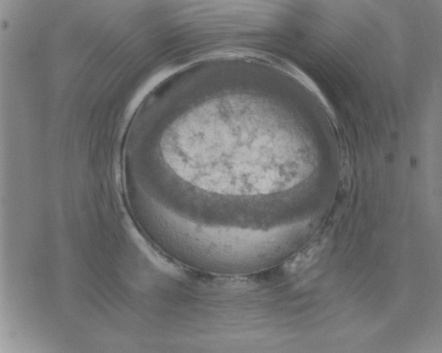 X0000075810811200610061730